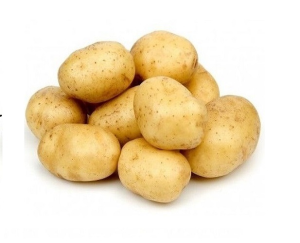 Biologische aardappelen 15kg (Twister)