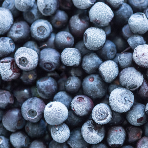 Blueberry wild IQF 1 kg