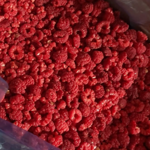 Framboos kruimels IQF 1 kg