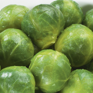 Spruiten 1kg