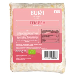 Tempeh 300g