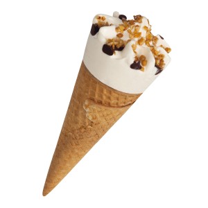 Boerderijs Hoorn Vanille IJs – 110ml (Diepvries, BIO, Nederland)