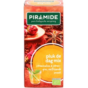 Pluk de dag thee Piramide 20 builtjes