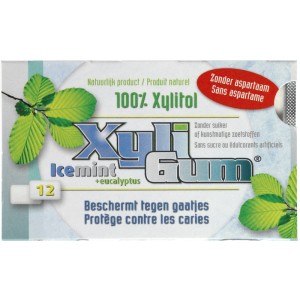 Xyligum Kauwgum Icemint NB 15 gr