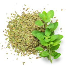 Oregano grof gemalen